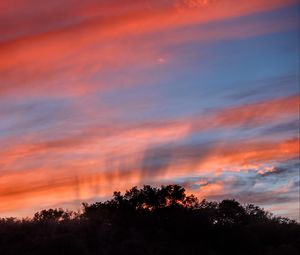 Preview wallpaper sunset, trees, sky, landscape, nature