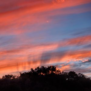 Preview wallpaper sunset, trees, sky, landscape, nature