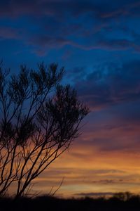 Preview wallpaper sunset, trees, sky, evening, night