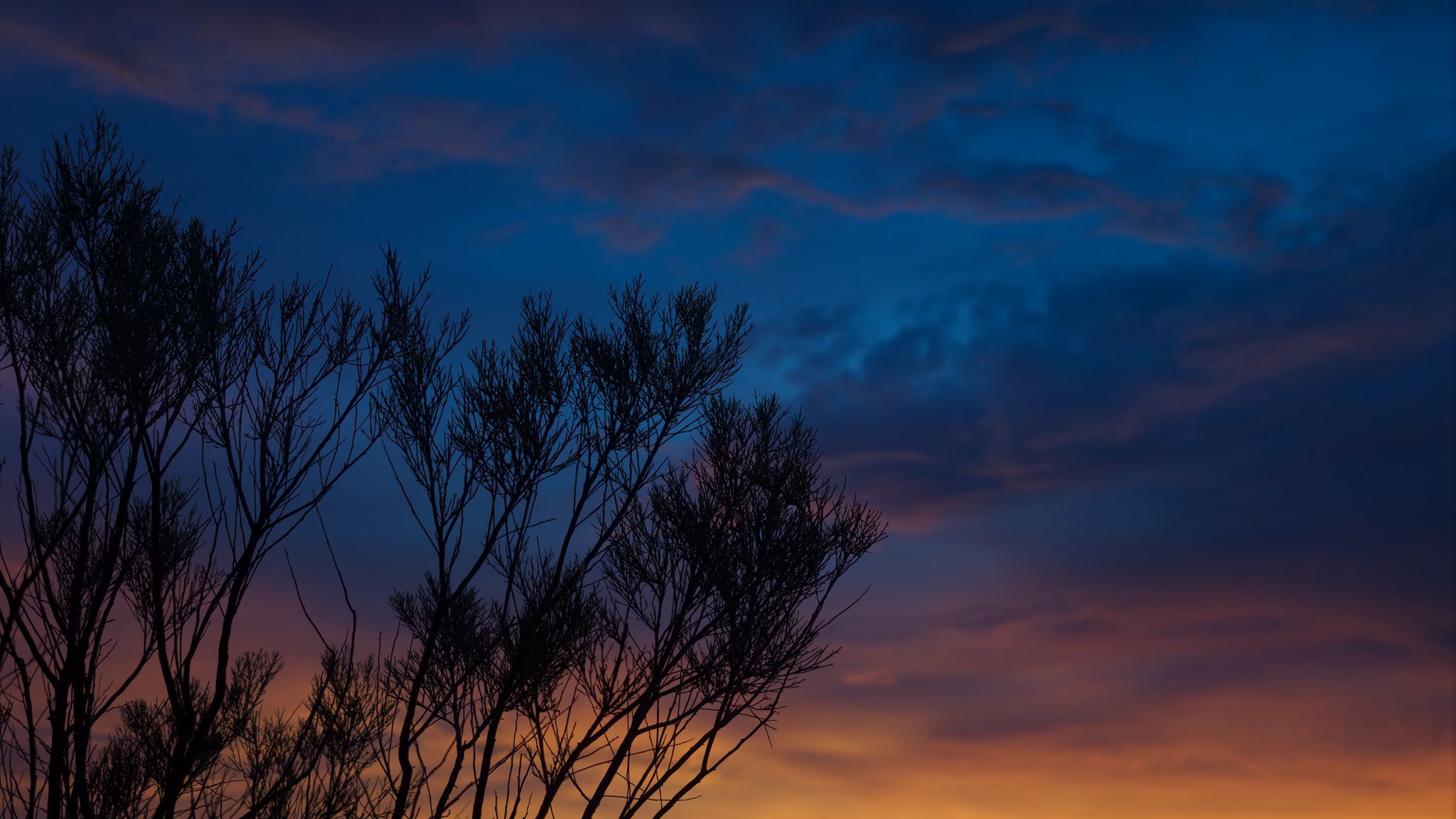 Download wallpaper 2048x1152 sunset, trees, sky, evening, night