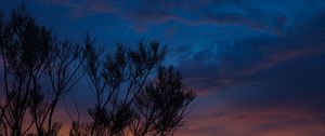Preview wallpaper sunset, trees, sky, evening, night