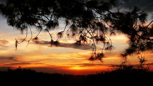 Preview wallpaper sunset, trees, sky, silhouette, landscape