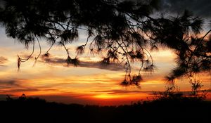 Preview wallpaper sunset, trees, sky, silhouette, landscape