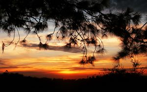 Preview wallpaper sunset, trees, sky, silhouette, landscape