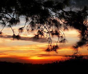 Preview wallpaper sunset, trees, sky, silhouette, landscape