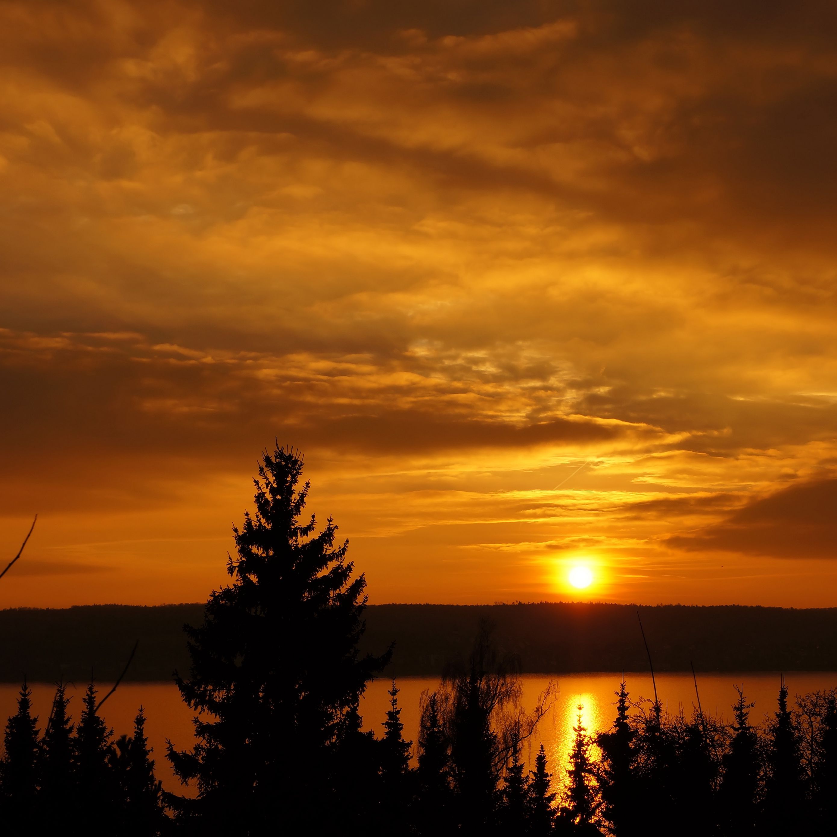 download-wallpaper-2780x2780-sunset-trees-sky-river-ipad-air-ipad