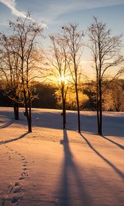 Preview wallpaper sunset, trees, snow, winter, dusk