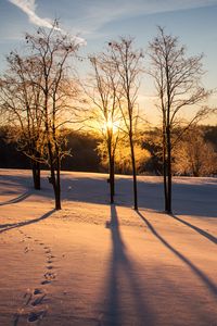 Preview wallpaper sunset, trees, snow, winter, dusk