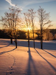 Preview wallpaper sunset, trees, snow, winter, dusk