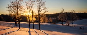 Preview wallpaper sunset, trees, snow, winter, dusk