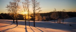 Preview wallpaper sunset, trees, snow, winter, dusk