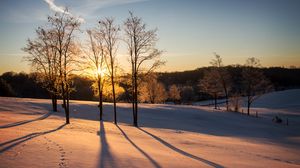 Preview wallpaper sunset, trees, snow, winter, dusk