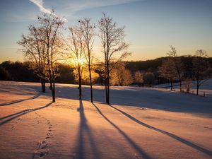 Preview wallpaper sunset, trees, snow, winter, dusk