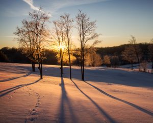 Preview wallpaper sunset, trees, snow, winter, dusk
