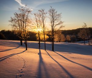 Preview wallpaper sunset, trees, snow, winter, dusk