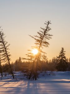 Preview wallpaper sunset, trees, snow, winter, nature