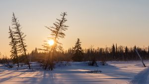 Preview wallpaper sunset, trees, snow, winter, nature