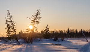 Preview wallpaper sunset, trees, snow, winter, nature