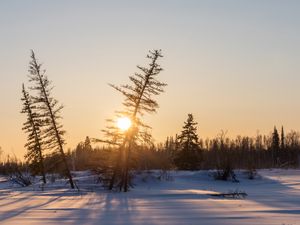 Preview wallpaper sunset, trees, snow, winter, nature