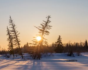 Preview wallpaper sunset, trees, snow, winter, nature
