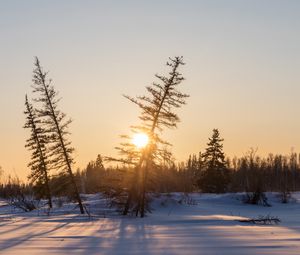 Preview wallpaper sunset, trees, snow, winter, nature