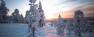 Preview wallpaper sunset, trees, snow, winter