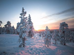 Preview wallpaper sunset, trees, snow, winter