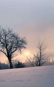 Preview wallpaper sunset, trees, snow, winter, evening, nature