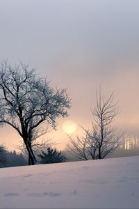 Preview wallpaper sunset, trees, snow, winter, evening, nature