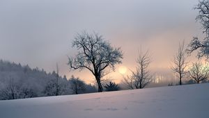 Preview wallpaper sunset, trees, snow, winter, evening, nature