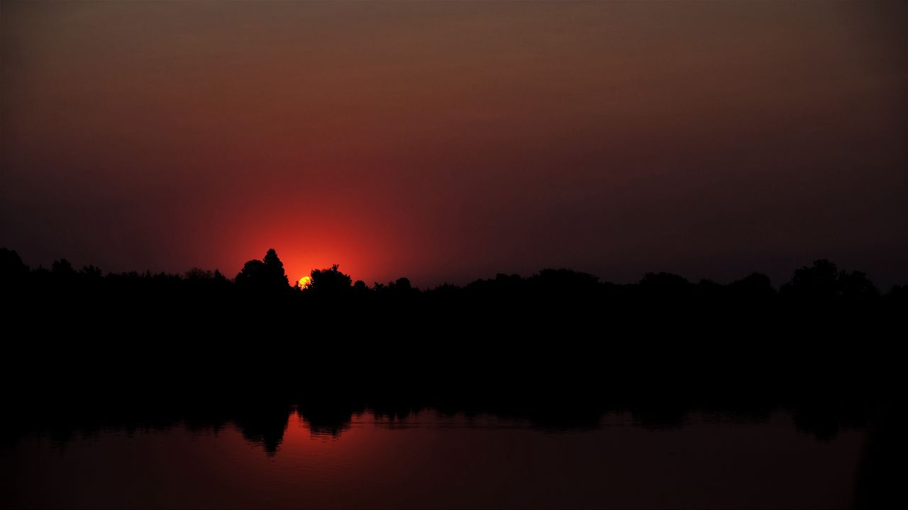 Wallpaper sunset, trees, sun, dark