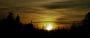 Preview wallpaper sunset, trees, sun, sky, dark