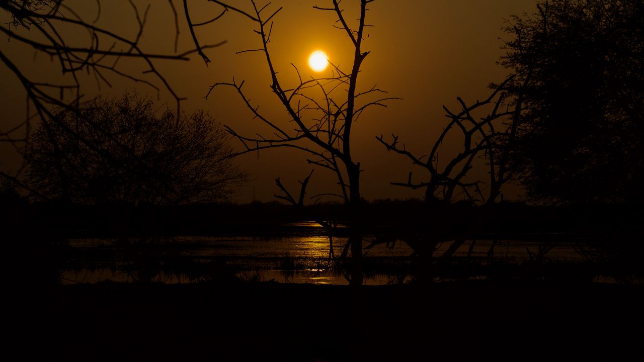 Wallpaper sunset, trees, water, dark, dusk