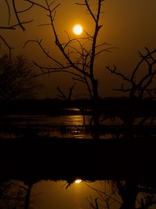 Preview wallpaper sunset, trees, water, dark, dusk