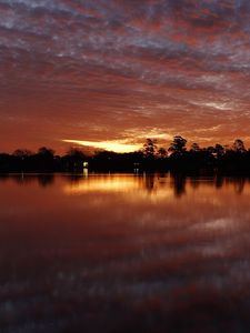 Preview wallpaper sunset, trees, water, reflection