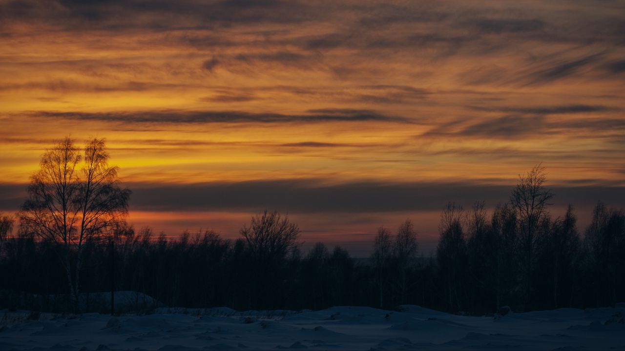 Wallpaper sunset, trees, winter, snow
