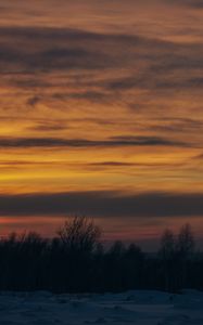 Preview wallpaper sunset, trees, winter, snow