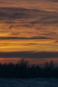 Preview wallpaper sunset, trees, winter, snow