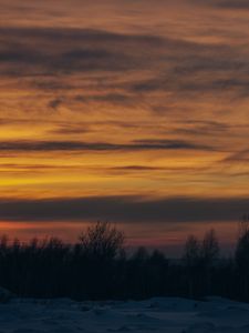 Preview wallpaper sunset, trees, winter, snow