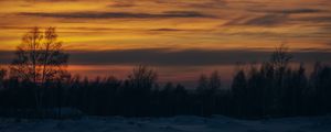 Preview wallpaper sunset, trees, winter, snow