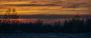 Preview wallpaper sunset, trees, winter, snow