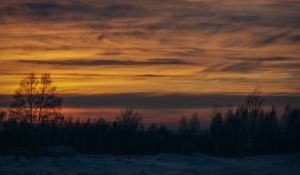 Preview wallpaper sunset, trees, winter, snow