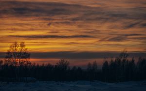 Preview wallpaper sunset, trees, winter, snow