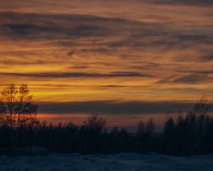 Preview wallpaper sunset, trees, winter, snow