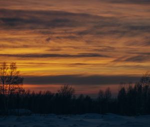 Preview wallpaper sunset, trees, winter, snow