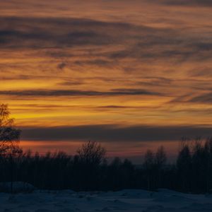 Preview wallpaper sunset, trees, winter, snow