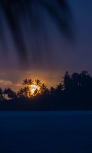 Preview wallpaper sunset, tropics, sun, palm trees, sea