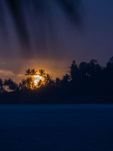 Preview wallpaper sunset, tropics, sun, palm trees, sea