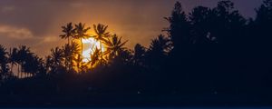 Preview wallpaper sunset, tropics, sun, palm trees, sea