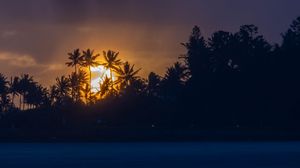 Preview wallpaper sunset, tropics, sun, palm trees, sea